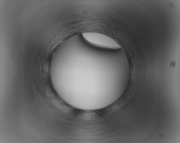 X0000110720278200906121254