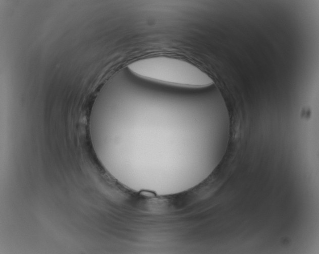 X0000110720279200906121254