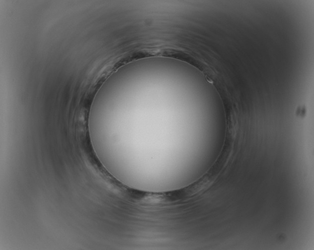 X0000110720280200906121254