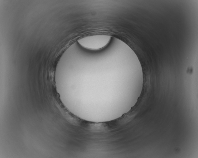 X0000110720281200906121254