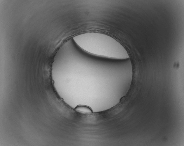 X0000110720282200906121254