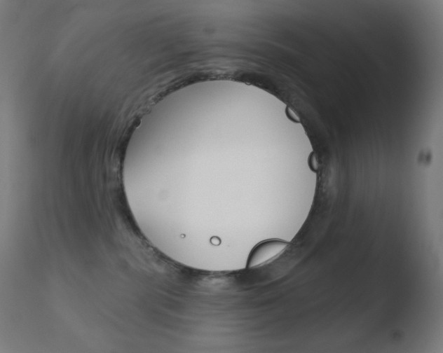X0000110720283200906121254