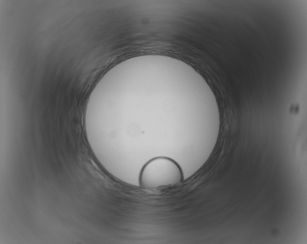 X0000110720284200906121254