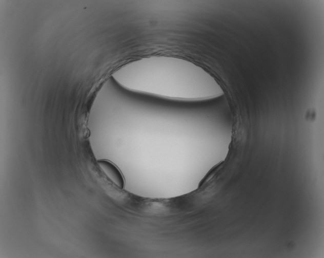 X0000110720285200906121254
