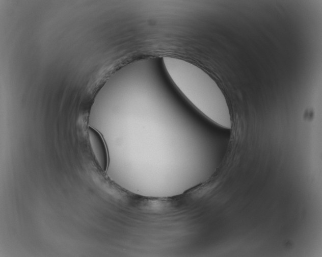 X0000110720286200906121254