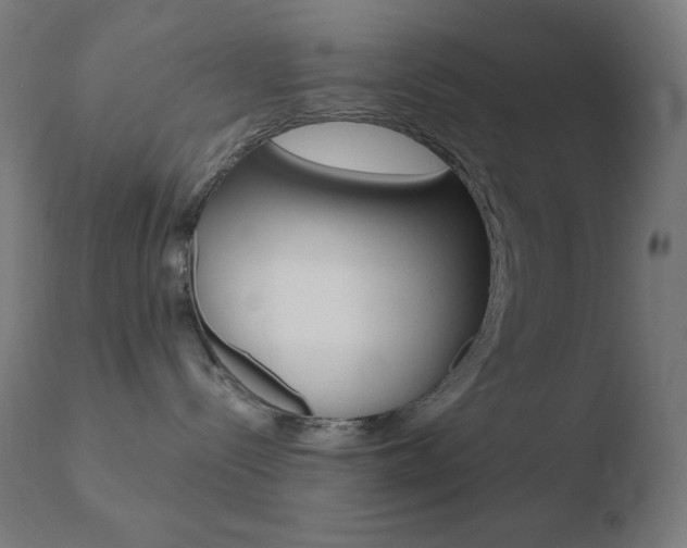 X0000110720288200906121254