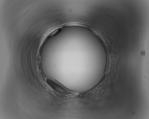 X0000110720289200906121253