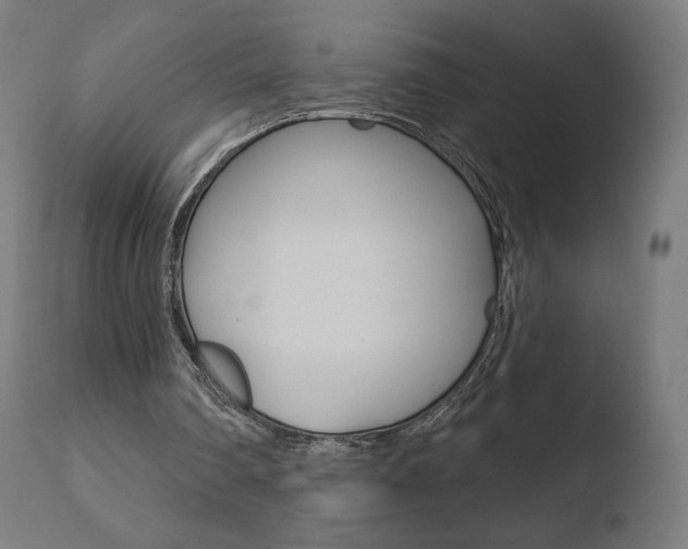 X0000110720290200906121253