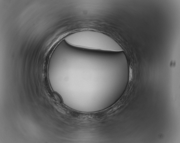 X0000110720291200906121253