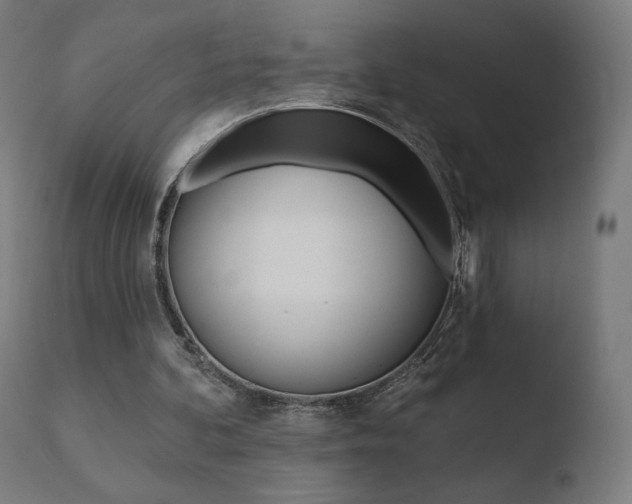 X0000110720292200906121253