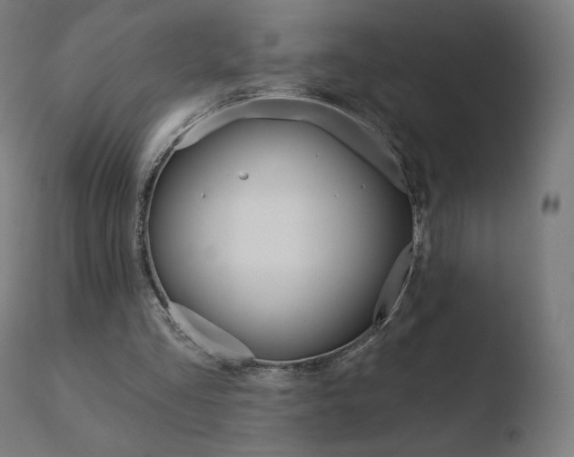 X0000110720293200906121253