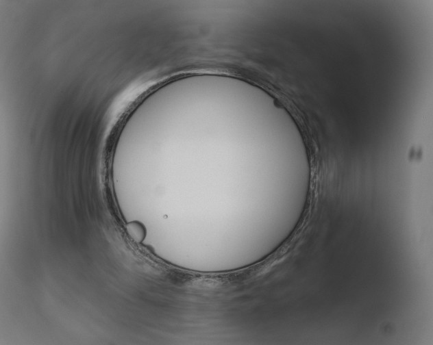 X0000110720294200906121253