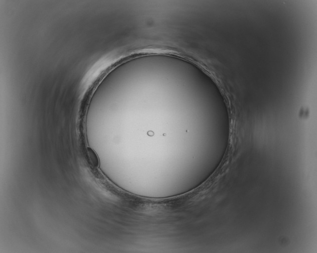 X0000110720296200906121253
