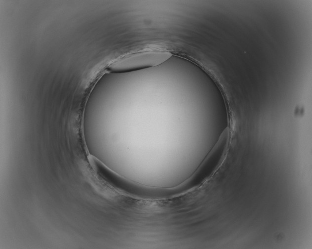 X0000110720297200906121253