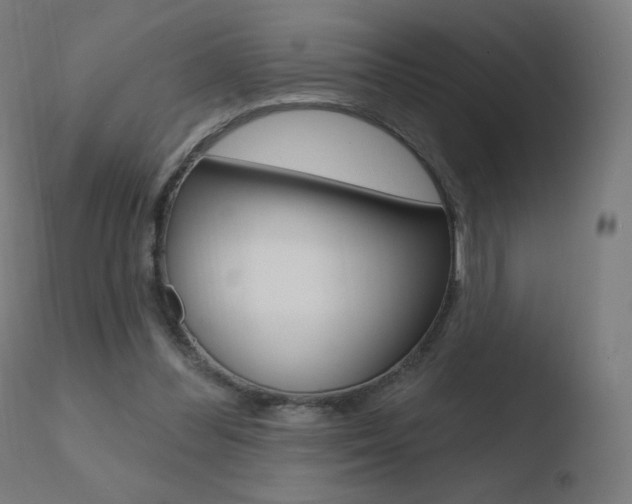 X0000110720300200906121253