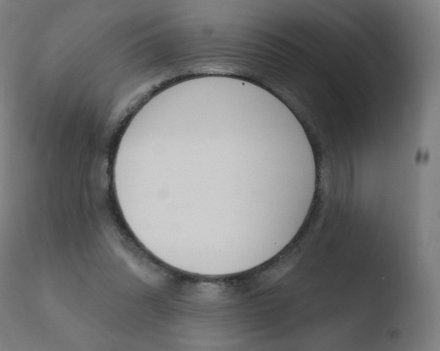 X0000110720302200906121253