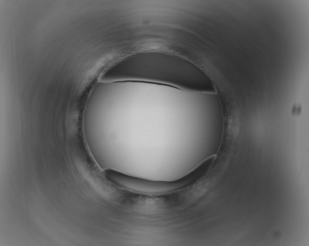 X0000110720304200906121253