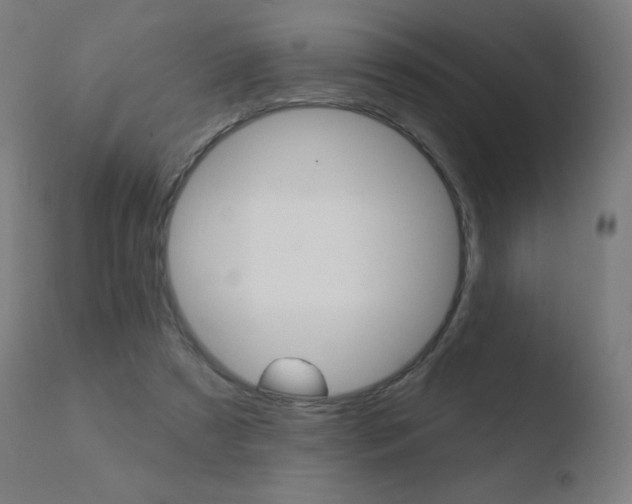 X0000110720305200906121253