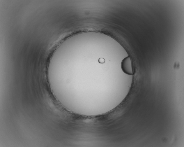 X0000110720306200906121253