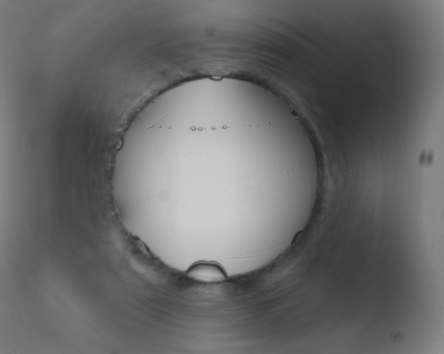X0000110720307200906121253