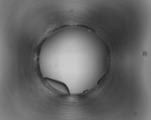 X0000110720308200906121253