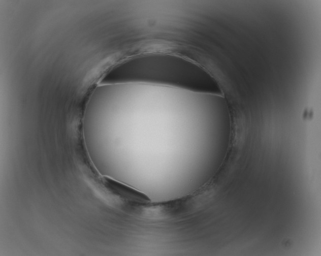 X0000110720309200906121253
