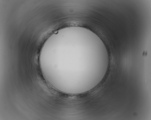 X0000110720310200906121253