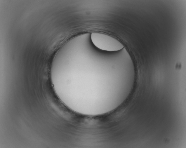 X0000110720311200906121253