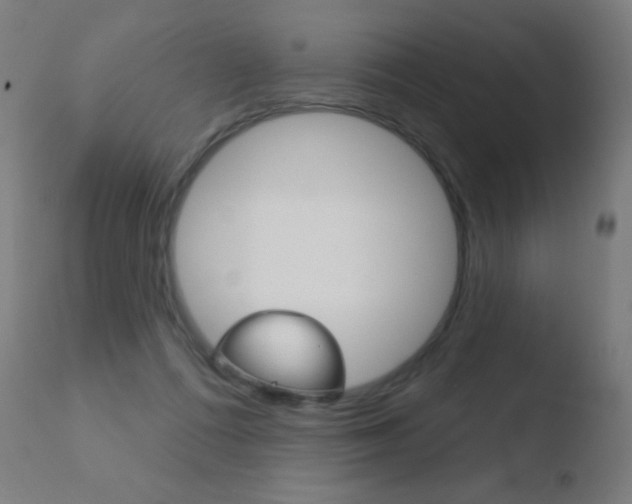 X0000110720312200906121253