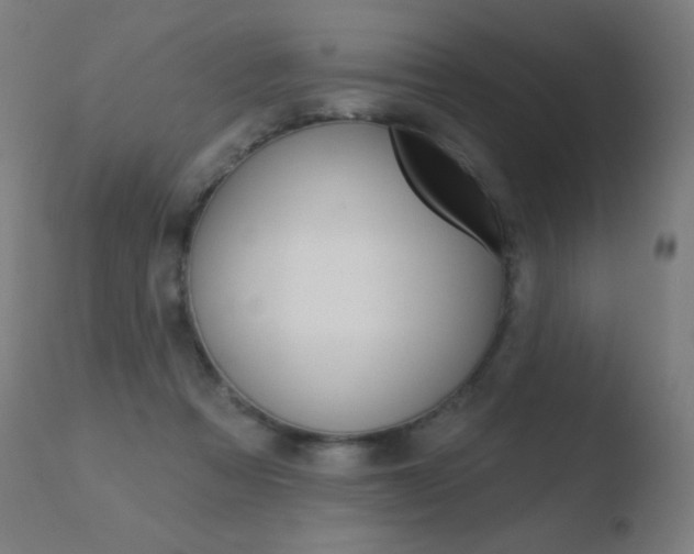 X0000110720313200906121253