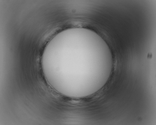 X0000110720314200906121253