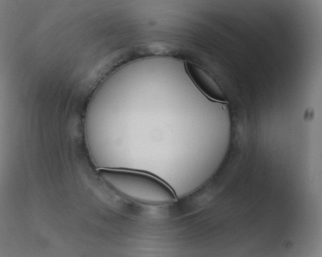 X0000110720317200906121253