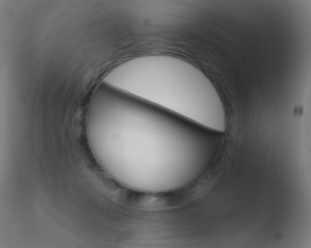 X0000110720319200906121253