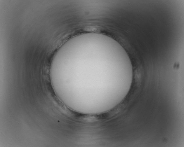 X0000110720322200906121253