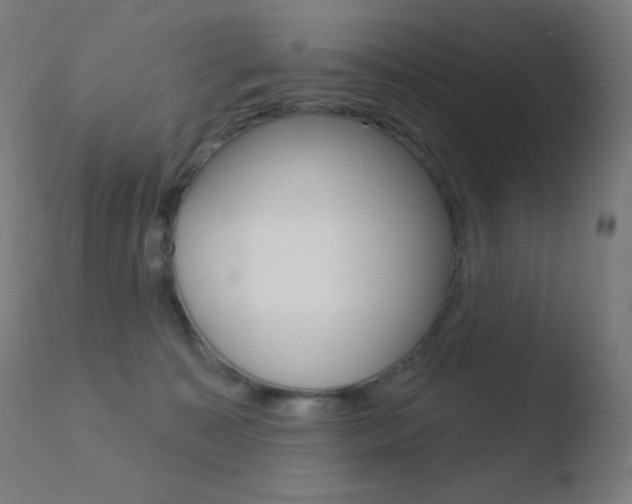 X0000110720323200906121253