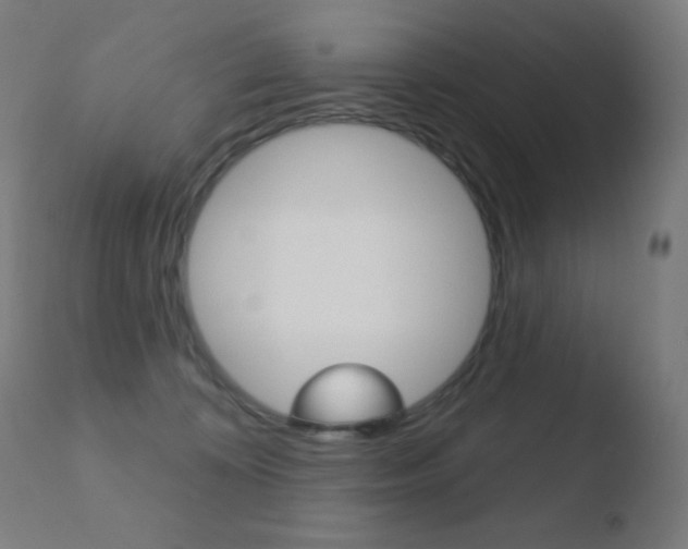 X0000110720324200906121253