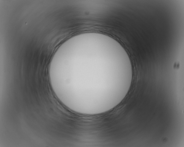 X0000110720325200906121253