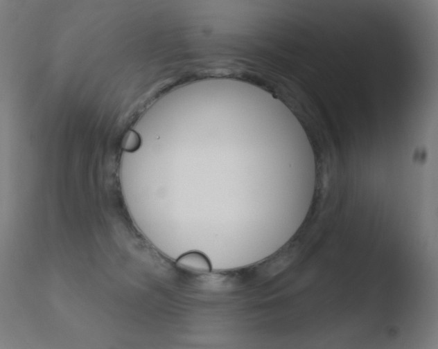 X0000110720326200906121253