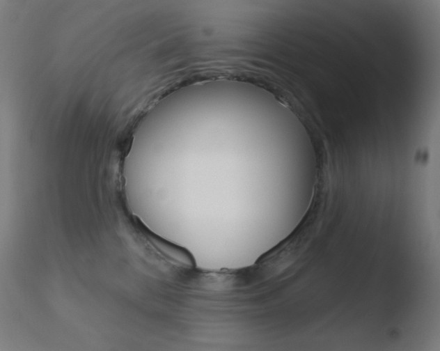 X0000110720328200906121253