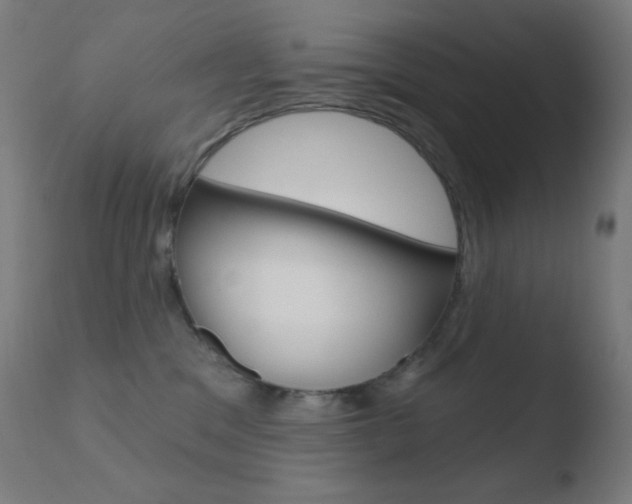 X0000110720329200906121253