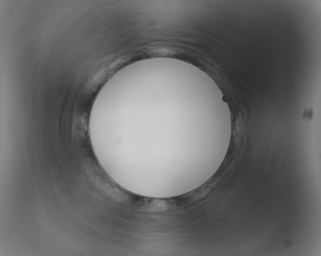 X0000110720330200906121253