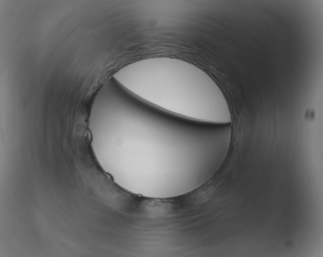X0000110720331200906121253