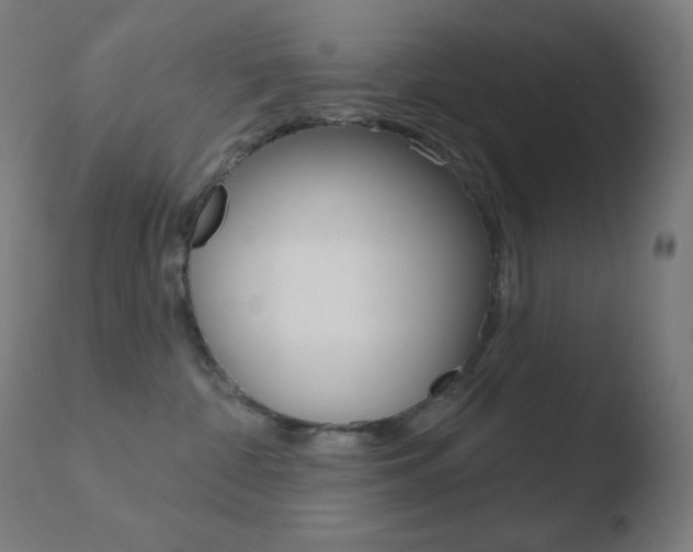 X0000110720332200906121253