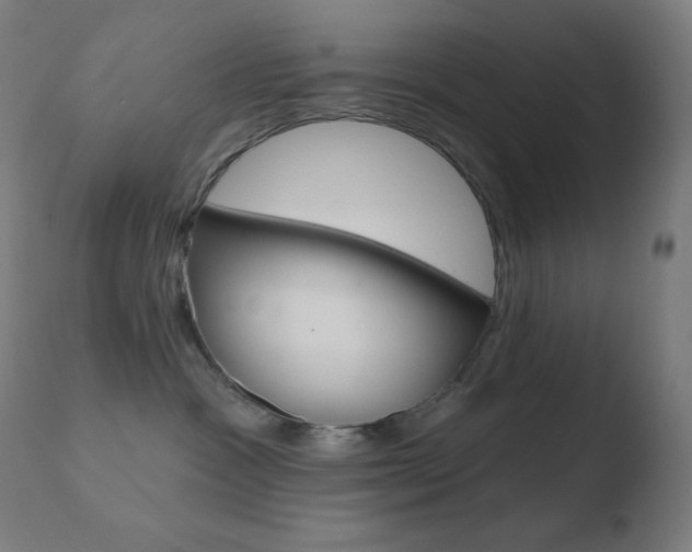 X0000110720333200906121253