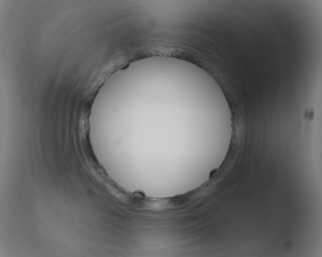 X0000110720334200906121253