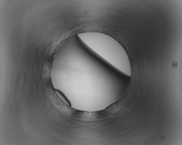 X0000110720335200906121253