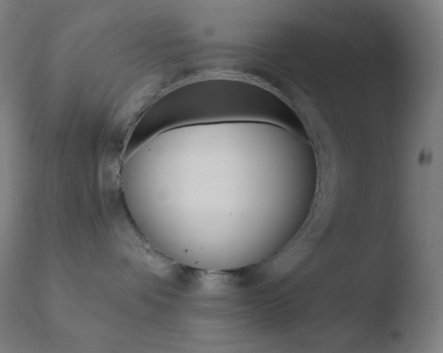 X0000110720336200906121253