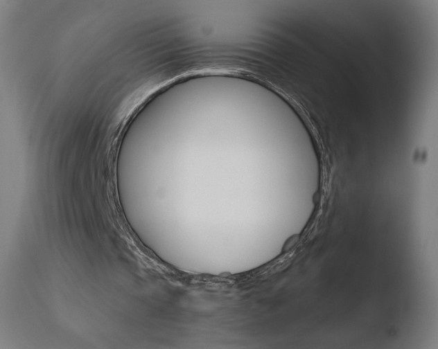 X0000110720337200906121252