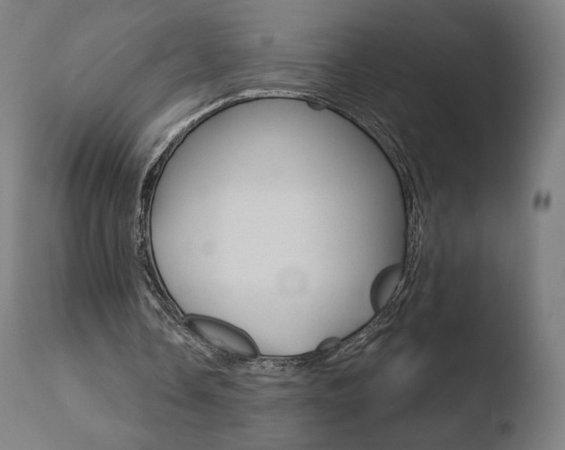 X0000110720338200906121252