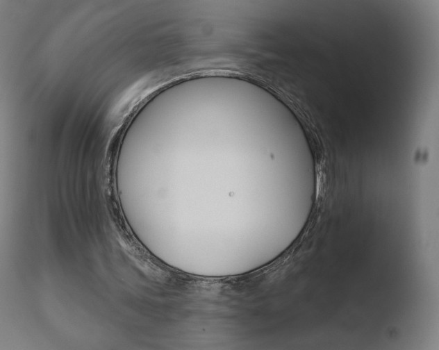 X0000110720339200906121252